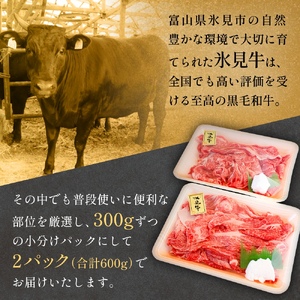 氷見牛切り落とし 300g × 2パック 合計600g 小分け 黒毛和牛 牛肉 富山県 氷見市