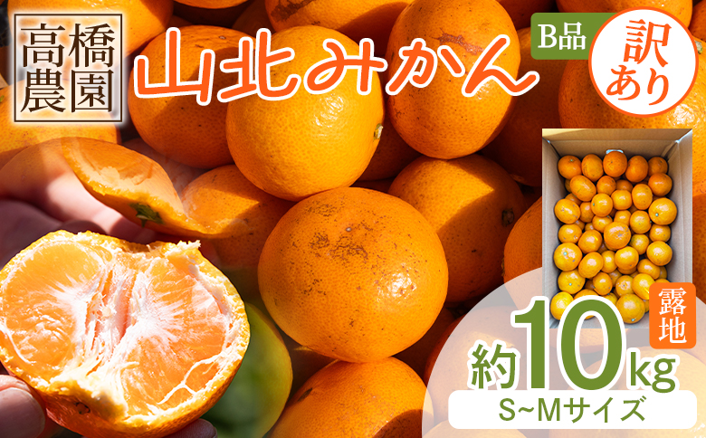 みかん 【2026年11月中旬より順次配送】10kg 訳アリ 山北みかん 露地(Ｓ～Ｍ) Ｂ品 高橋農園 訳あり - 果物 フルーツ ミカン 蜜柑 柑橘 家庭用 自宅用 新鮮 農家直送 露地 th-0027