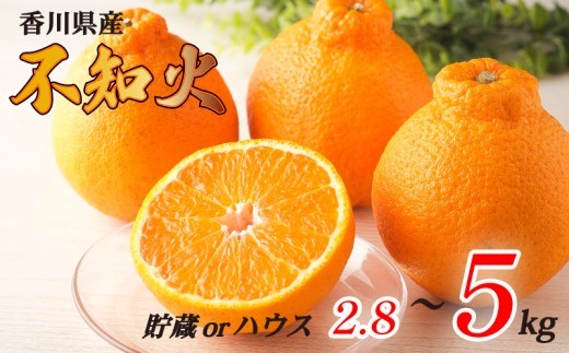 
                  不知火 選べる 約2.8kg 約3kg 約5kg ハウス 貯蔵 常温 冷蔵 先行予約 フルーツ 果物 柑橘 しらぬい みかん ふるさと納税みかん 香川県 丸亀市
                