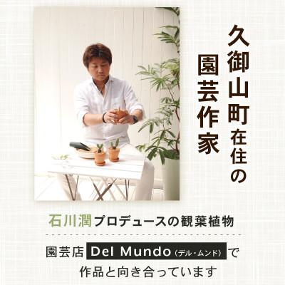 ふるさと納税 久御山町 【先行受付】2026年 カーネーション レッド 母の日ギフト 京都久御山町 |  | 02