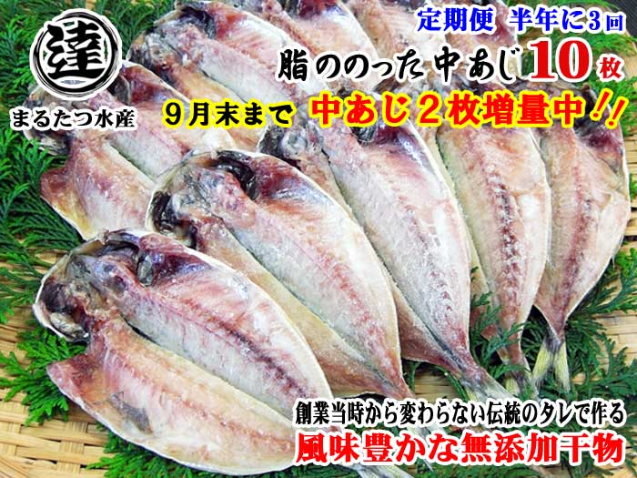G3*【ふるさと納税】【定期便 全3回】創業32年 自社工場 製造直売 完全無添加 伊豆・丸達 脂ののった中あじ ひもの10枚+2枚 合計12枚セット 9月末まで増量中 半年に3回
