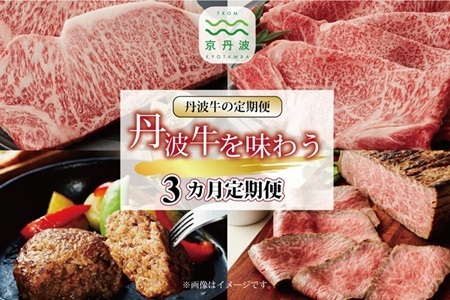 【3回定期便】丹波牛を味わう定期便 【 牛肉 牛定期便 バラエティ 黒毛和牛 牛肉定期便 ギフト  贈り物 定期便  】  [091IZ001R]