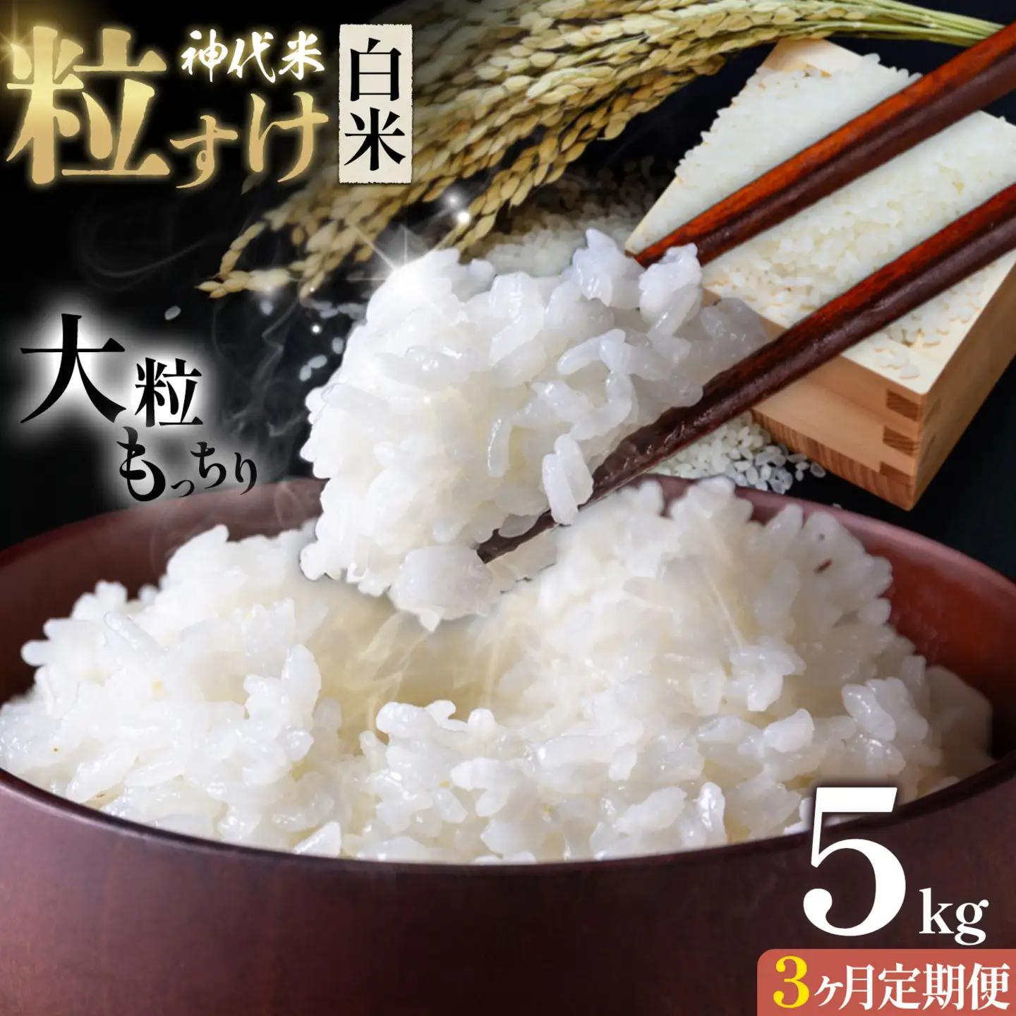 【3ヶ月定期便】米 白米 神代米 粒すけ ぜん兵衛。
