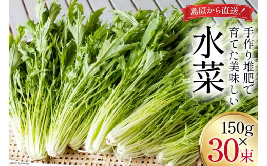 
【BH017】水菜 150g×30束
