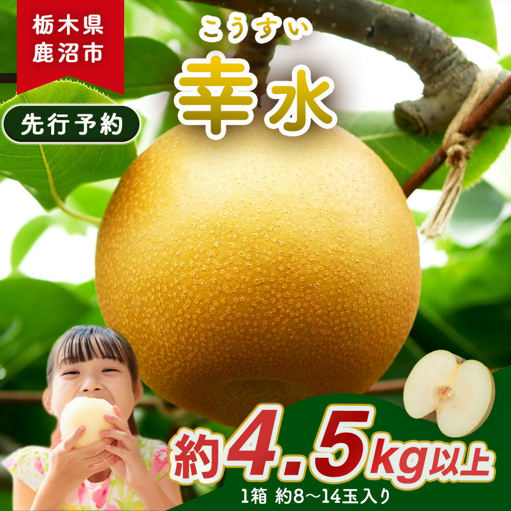 【ふるさと納税】梨(幸水) 8玉～14玉入り×1箱 (4.5kg以上) ※2026年8月中旬～8月下旬頃に順次発送予定