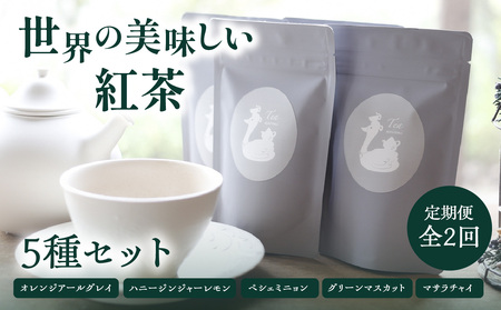 【全2回定期便】世界の美味しい紅茶５種セット  010-03-T1