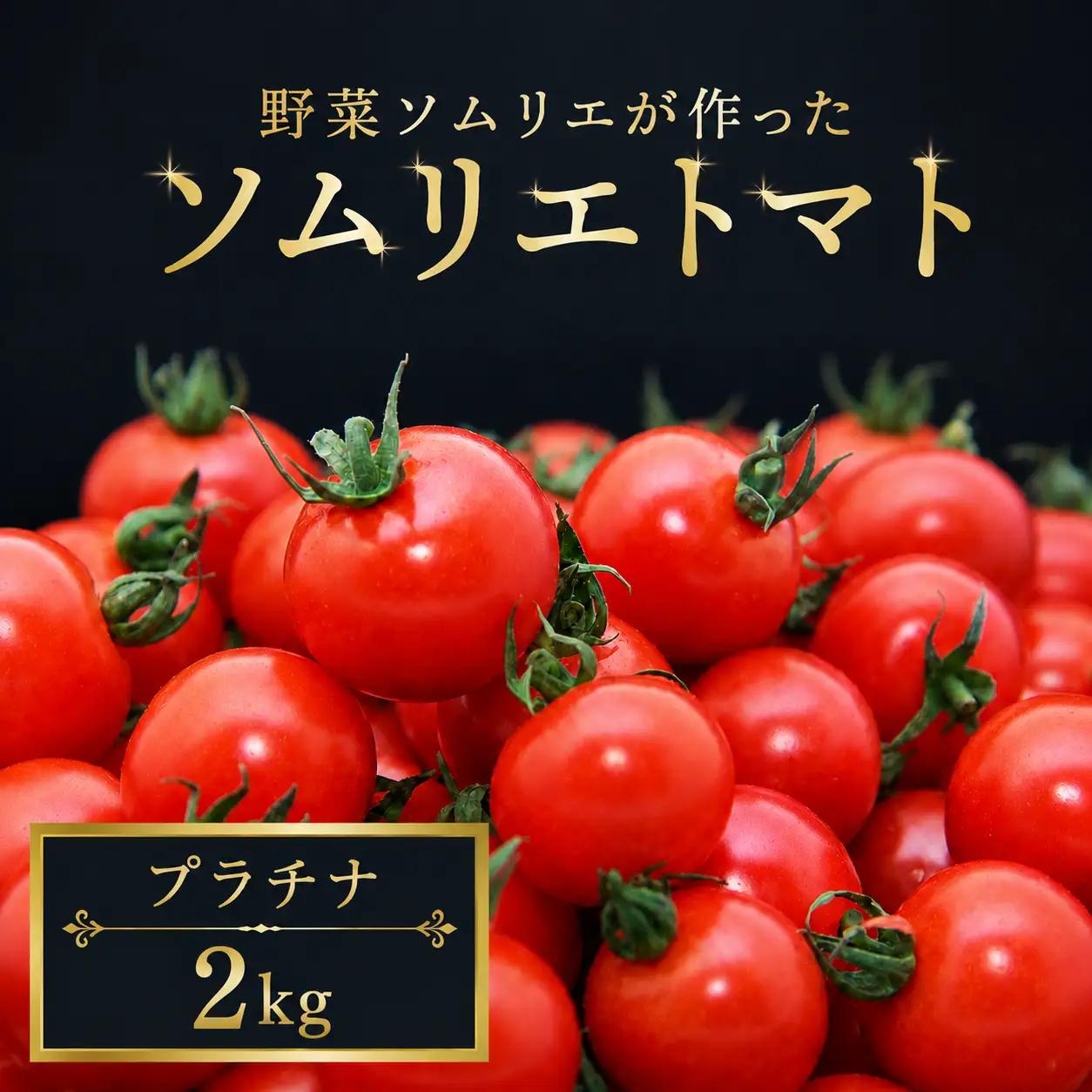 ミニトマト（プラチナ）2kg｜レッドアップ
