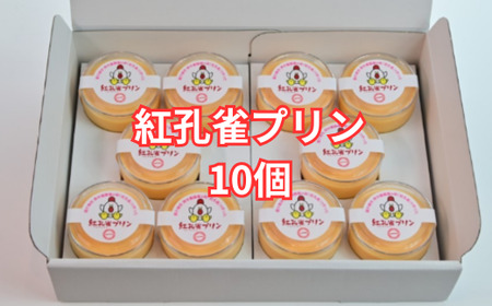 紅孔雀プリン10個セット【配送不可地域：離島】【プリン ぷりん ギフト プリン 贈答用 プリン専門店 プリン スイーツ お取り寄せ プリン 内祝い 取り寄せ プリン お取り寄せグルメ 甘味 プリン お歳暮 お祝い プリン 厳選素材 洋菓子 プリン お菓子 デザート おかし ご褒美 セット 新鮮 プリン 人気 卵 こだわり プリン 濃厚】