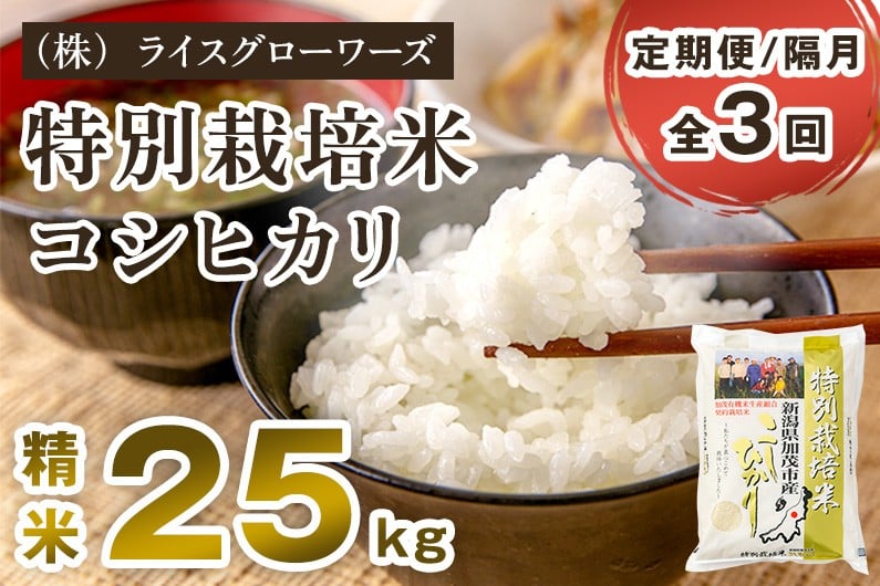 
                  【令和7年産】【定期便3回隔月お届け】新潟県加茂市産 特別栽培米 コシヒカリ 精米 25kg（5kg×5）《順次出荷》 従来品種コシヒカリ 新潟県産コシヒカリ 新潟産コシヒカリ 新潟コシヒカリ 新潟県産こしひかり 新潟産こしひかり 新潟こしひかり コシヒカリ こしひかり お米 白米 米 定期便 （株）ライスグローワーズ
                