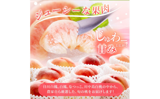【先行予約】【厳選】あふれる果汁で口いっぱい！ 和歌山県産 桃 約2kg（6個~9個） 2025年6月末頃～2025年8月末頃に順次発送予定（お届け日指定不可）/ 和歌山 桃 モモ フルーツ もも 白