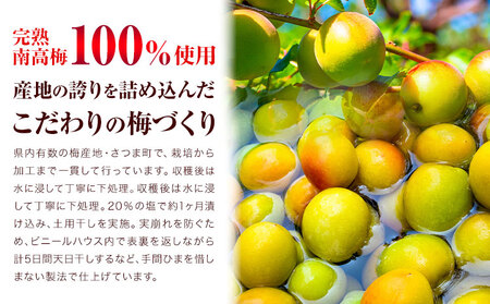 訳あり しそ漬け梅干し 350g×2箱 定期便 連続 3回  農事組合法人 梅香丘《お申込みの翌月から出荷》鹿児島県 さつま町 うめぼし 紫蘇 お取り寄せ プレゼント