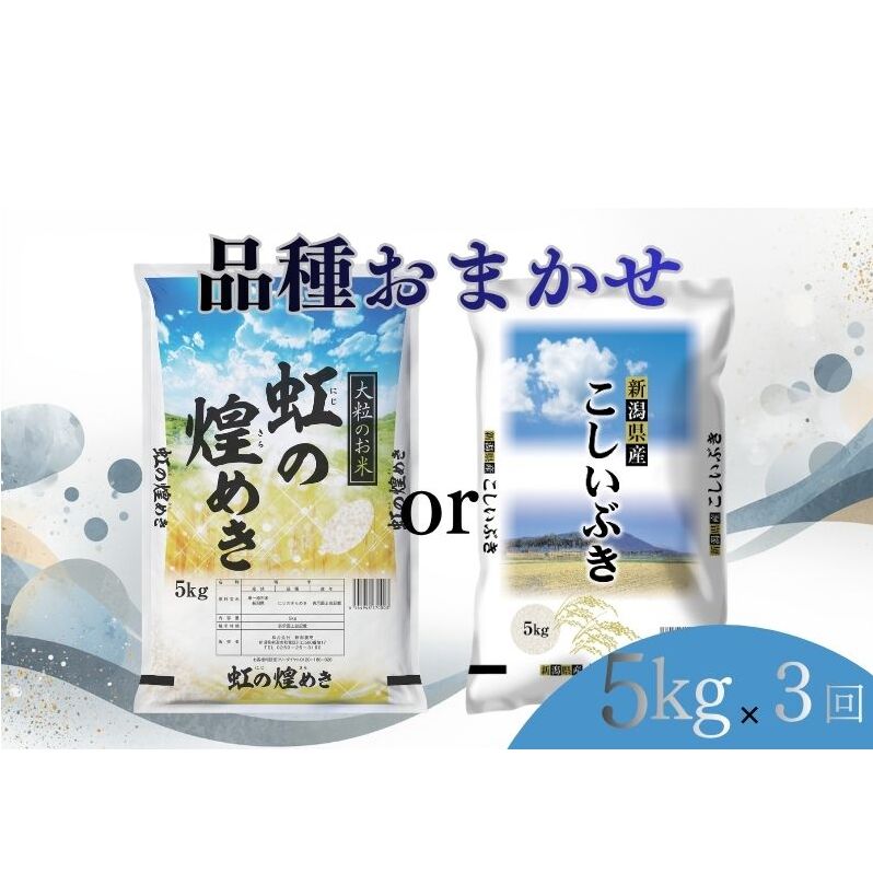 【ふるさと納税】【7月上旬より配送】 新潟県産 品種おまかせ 5kg 3か月定期便 新潟県 新潟市産 令和7年産 お米 精米 米 ご飯 送料無料　お届け：令和8年7月上旬から発送