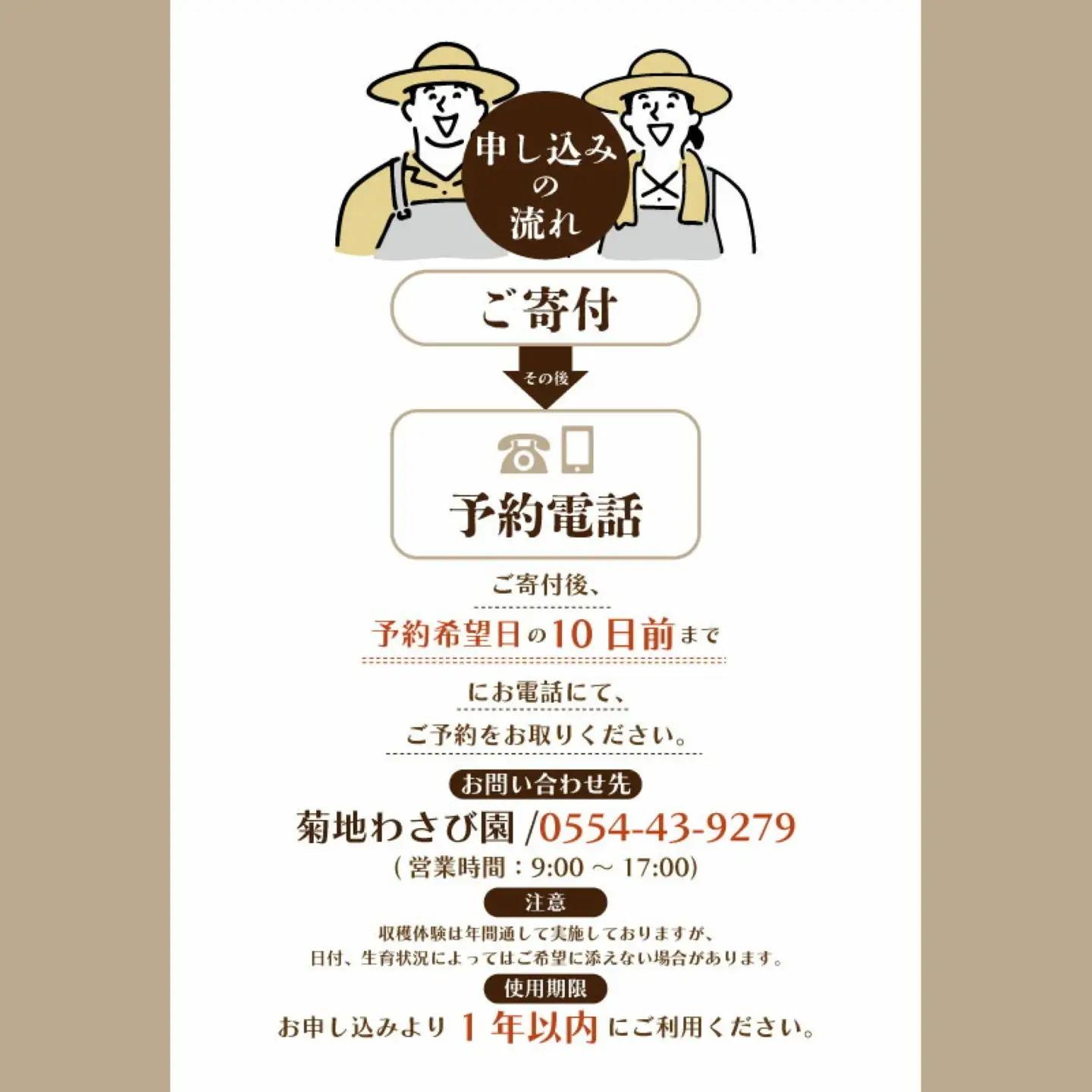 わさび収穫体験（わさびお土産付き）　山梨 都留市 わさび 山葵 ワサビ 体験 体験チケット 収穫 収穫体験 湧水