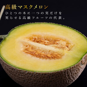高知県産 最高級マスクメロン＆小玉スイカセット【発送期間：4月～12月（9カ月）】【1月～3月は気候温度不安定の為出荷不可となります。】 