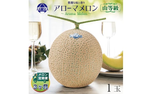 ＜毎月定期便＞アローマメロン(山等級) 1玉 全3回【4012998】