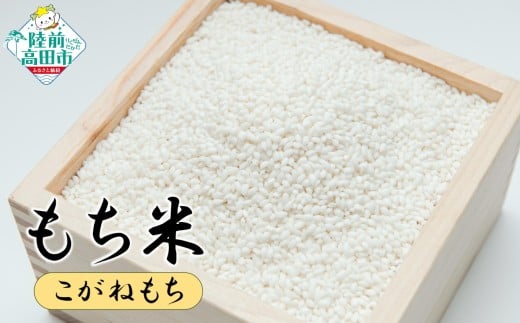 もち米 2kg 品種：こがねもち 【 餅 赤飯 おこわ おはぎ おしるこ 数量限定 岩手県産 マルキヨファーム 】 RT2997