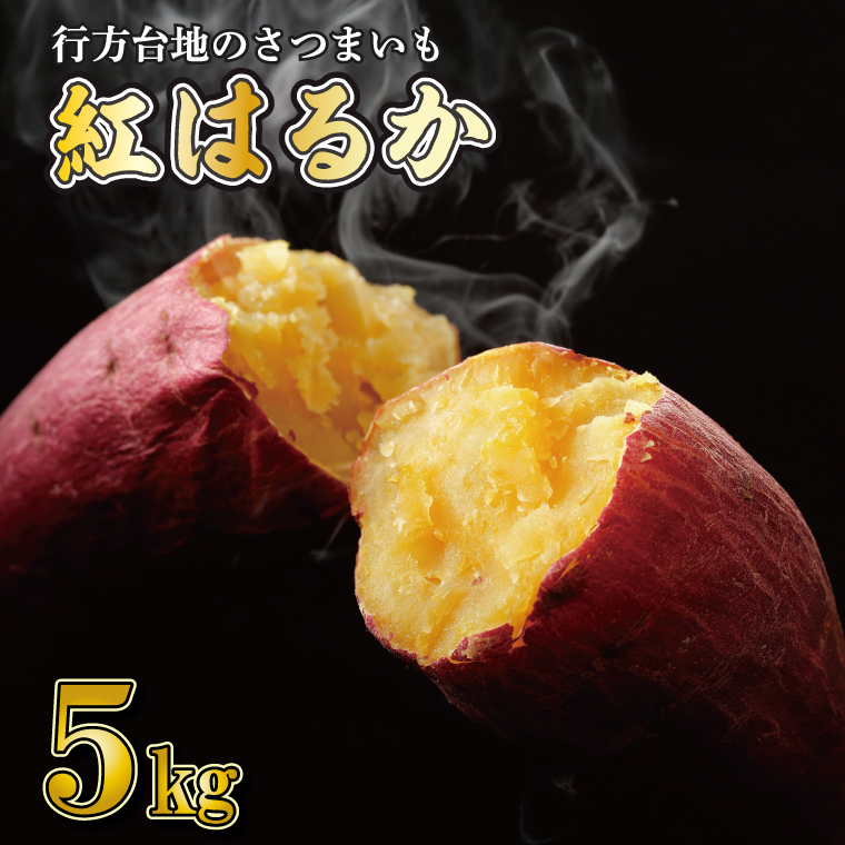 【2025年12月より順次発送】★訳あり★ 無選別 行方台地のさつまいも 紅はるか 約5kg｜訳あり ワケアリ 訳アリ さつまいも サツマイモ さつま芋 紅はるか 無選別 べにはるか 行方市 ふるさと納税(CU-317)