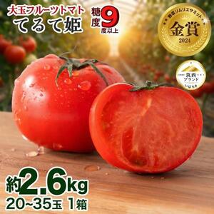 フルーツトマト 約2.6kg 【20～35玉/1箱】 てるて姫 フルーツトマト トマト 2027年産 とまと 野菜