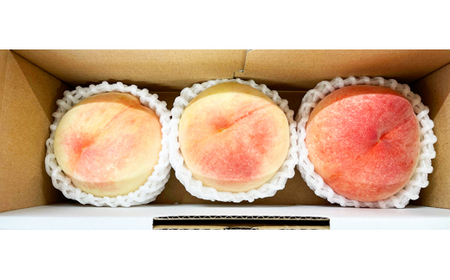 秀品　紀州和歌山産の桃　3玉　化粧箱入　※2024年6月下旬頃?2024年8月中旬頃順次発送（お届け日指定不可）【uot750】