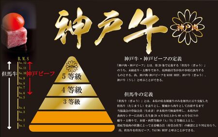 神戸牛(神戸ビーフ) 訳あり 焼肉用（不揃い）（ばら・もも・かた）　500ｇ