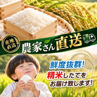 ふるさと納税 真岡市 【令和8年産】栃木の豊かな自然で育んだふっくらあま〜いこしひかり 約20kg(精米)　 |  | 01