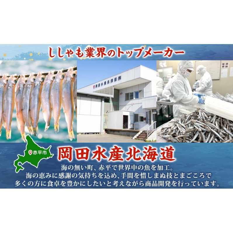 北海道産ししゃもオス大30尾 北海道 稀少 魚 シシャモ オス おつまみ 魚貝類 干物 本物 人気 希少 塩 味付け 脂のり 旨み 美味しい 大きい_イメージ5