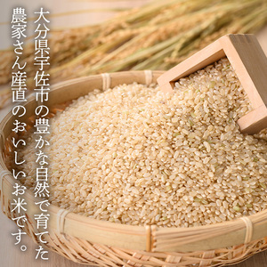 ＜先行予約受付中！2025年11月中旬以降順次発送予定＞＜令和7年産・新米＞ひのひかり 玄米(計10kg)お米 10キロ ヒノヒカリ 真空パック 真空包装【114900304】【祥田産業】