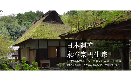 煎茶ティーバッグ「やんたん」25P×3缶〈煎茶 緑茶 お茶 ティーバッグ〉 
