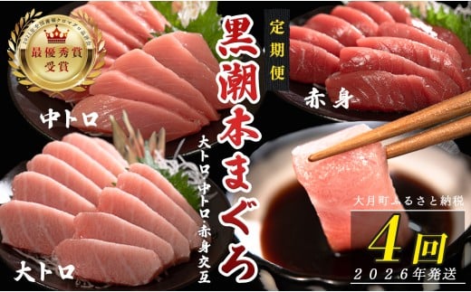 【定期便 4回】日本一!黒潮本まぐろ 大トロ・中トロ・赤身(交互)