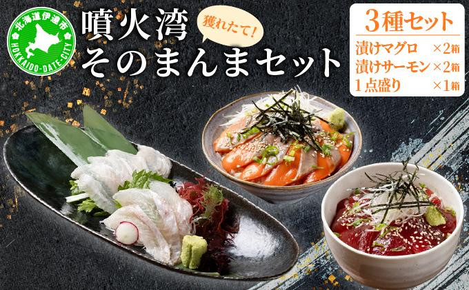 
            [№5525-1122]噴火湾そのまんま 漬けマグロ2箱、漬けサーモン2箱、お刺身1点盛り1箱の計5箱 旬菜一鮮 だて大和屋 厳選 魚介 海鮮 刺身 刺し身 小分け 新鮮 魚介類 魚貝類 加工食品 贈答 ギフト 贈り物 ご褒美
          