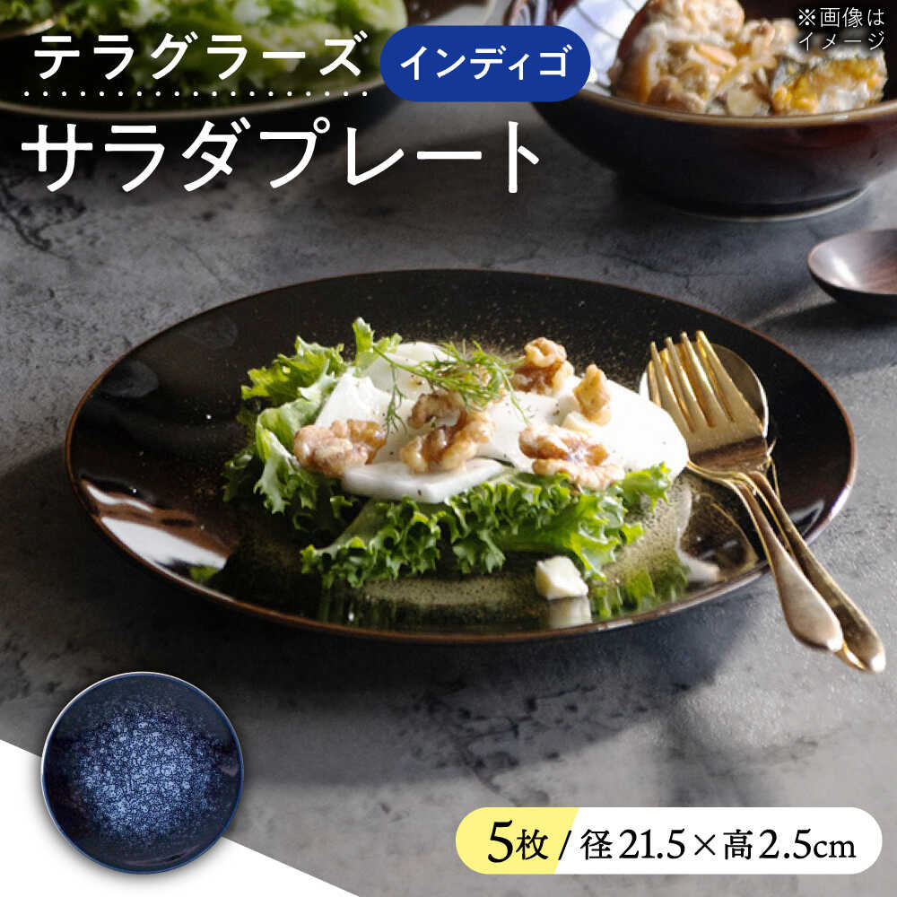 【ふるさと納税】【美濃焼】 テラグラーズ サラダプレート インディゴ 5客揃 瑞浪市 / アワサカ 食器 皿 プレート[AZAD026]