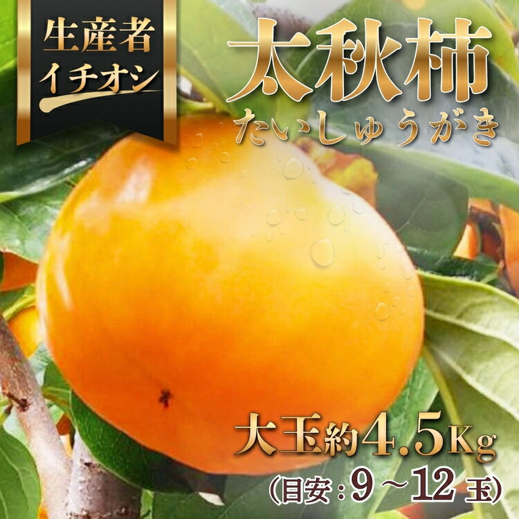 【ふるさと納税】太秋柿（たいしゅうがき）約4.5kg（目安：9～12玉）　※2026年11月～発送