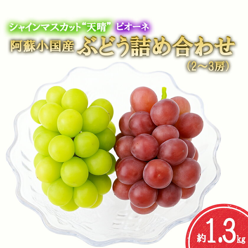 【ふるさと納税】2025 令和7年産 8月末より出荷 夏の味覚 旬 ぶどう ブドウ 葡萄 詰め合わせ セット 約1.3kg 2～3房 ピオーネ シャインマスカット 天晴 ブランド 小国産 高冷地 フルーツ 果物 自家産 おぐに天然食ほこすぎ 贈答 ギフト 送料無料【地場産品基準：類型1】