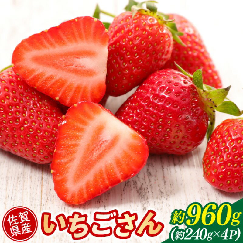 【ふるさと納税】いちご 佐賀県産 いちごさん 約960g (約240g×4パック) イチゴ 果物 ※配送不可：北海道、沖縄県、離島　お届け：2027年2月上旬頃より順次出荷