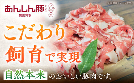 【12回定期便】 《バラ凍結》 モモ・カタ 小間切れ 1.4kg （280g×5袋） 豚肉 小分け 定期便 豚こま 白川町 / 藤井ファーム[AWAF032]