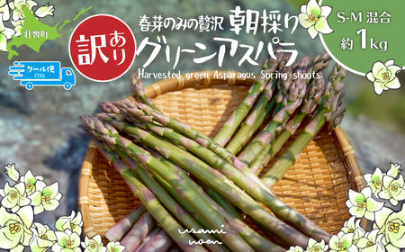 【2026年予約】【訳あり】朝採りグリーンアスパラ（春芽）S-M混合 約1kg 北海道壮瞥町産 SBTAJ038