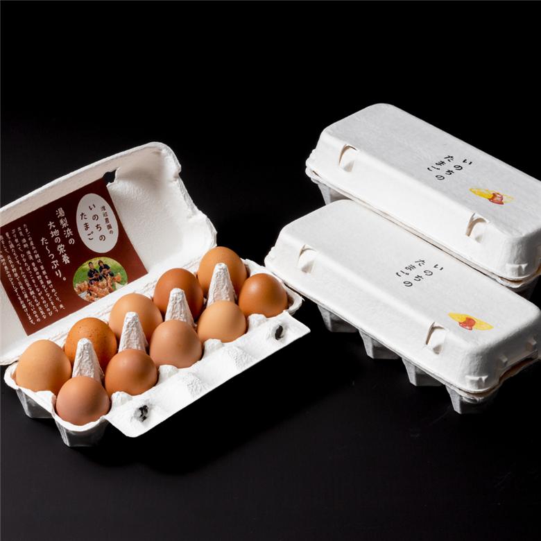 154J.平飼い鶏の『いのちのたまご』30個