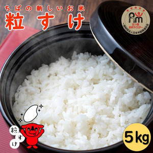 米 粒すけ 5kg 【五ツ星お米マイスター厳選】お米 白米 ブランド米 千葉県 銚子市 根本商店                                                                                                                                                   