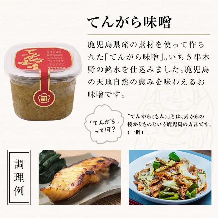 てんがら味噌セット（850g×4個）麦味噌　鹿児島県産【00-002-20】