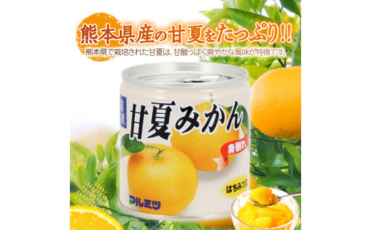 甘夏みかん 缶詰 12缶入り（身割れ）