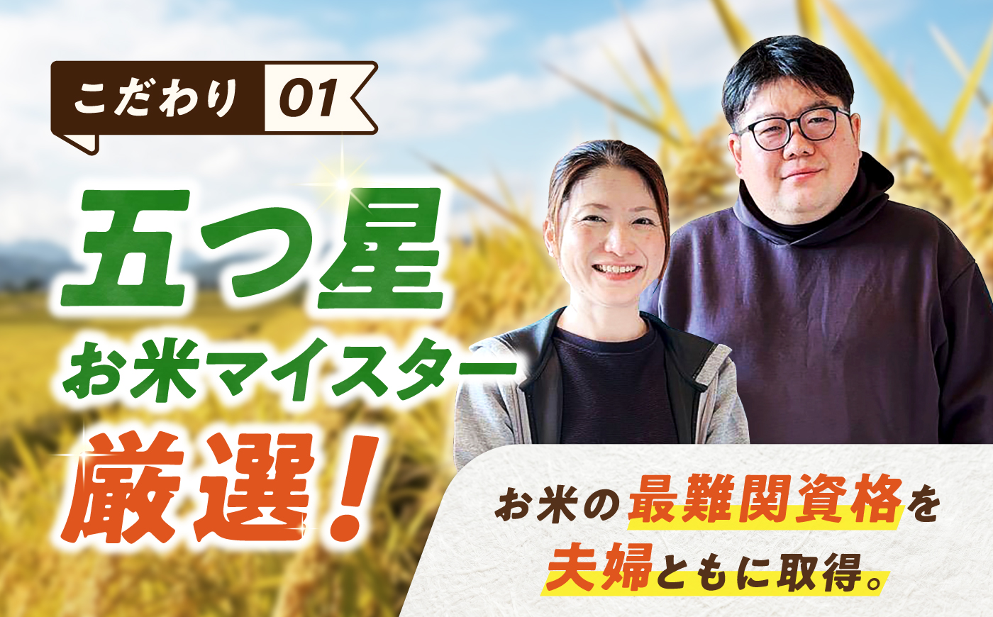 無洗米 さがびより 20kg（5kg×4袋） 無洗米 お米 白米 精米 佐賀県産 米 /大塚米穀店 [UFE009]