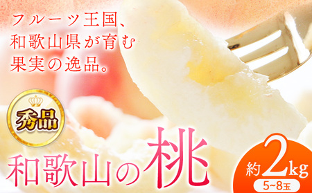 桃 秀品 和歌山の桃約2kg