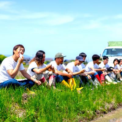 ふるさと納税 近江八幡市 【令和7年産】すっごいもちもち「しきゆたか」白米5kg |  | 03