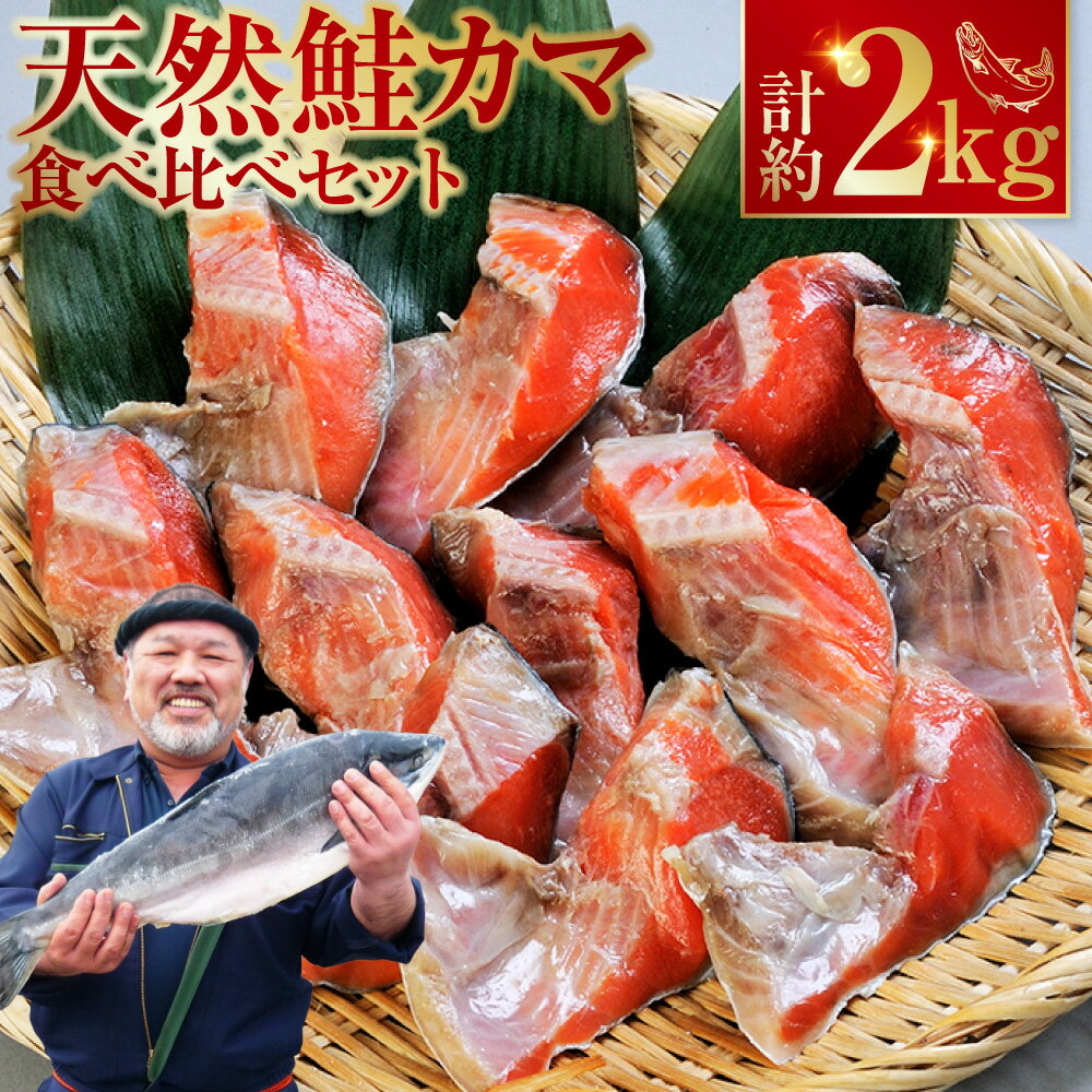 【ふるさと納税】釧路加工 マルア阿部商店 天然鮭 氷塩熟成「カマ」食べ比べセット 秋鮭 鮭 サケ 紅鮭 さけ 個包装 シャケ 切り身 切身 半身 2種 魚 海鮮 セット 時間指定 こだわり 三平汁 焼き魚 脂 こってり 旨味 商標登録 特殊製法 職人技 北海道 釧路市 送料無料