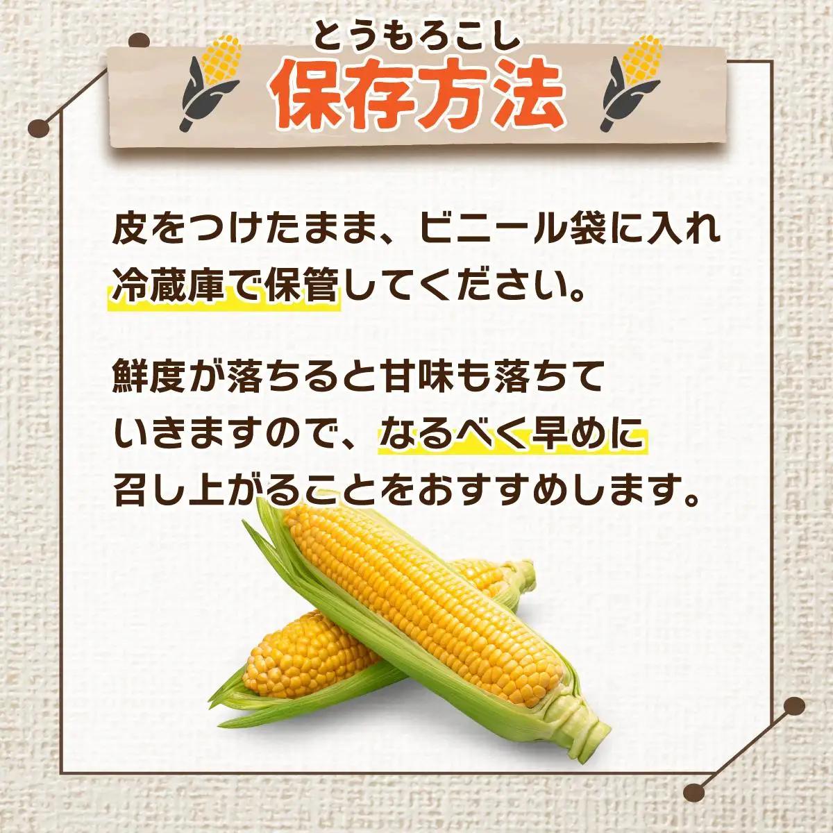 ＜先行予約＞北海道産 とうもろこし(恵味/ホイップコーン) 計20本【55250487】