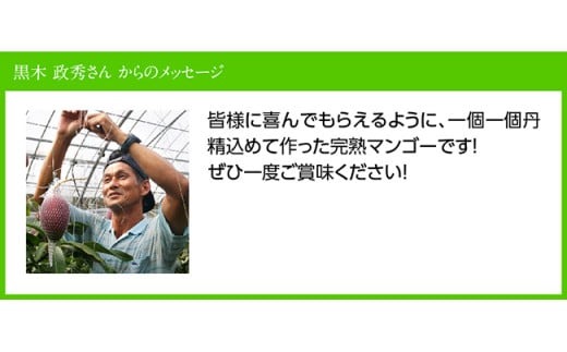 【令和7年発送】宮崎県産完熟マンゴー「おひさまハニーマンゴー」3L×2玉 【 果物 フルーツ マンゴー 国産 宮崎県産 完熟マンゴー みやざきマンゴー 先行予約 数量限定 期間限定 】[D03302]