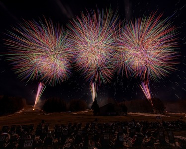 "The絶景花火『Mt.Fuji』2026～日本の極み古今無双～"観覧チケット スタンダード NSAR001-c