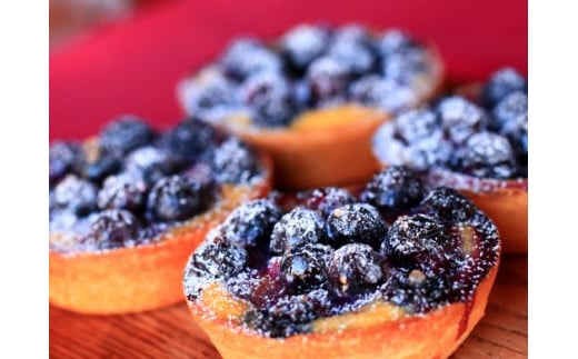 人気の『ブルーベリーキッシュ』6 個セット＜kiyomidai cafe＞ ふるさと納税 ふるさと納税 キッシュ フルーツキッシュ ブルーベリー 果物 千葉県 木更津 送料無料 KAD009