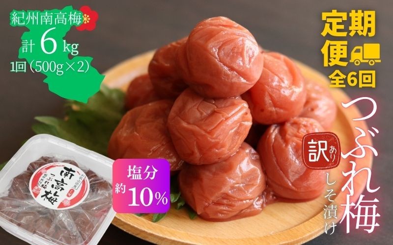 
                  【定期便全6回】【塩分約10％】和歌山県紀州南高梅つぶれ  しそ漬け 訳あり 500g×2 agrjpn-tkb008
                