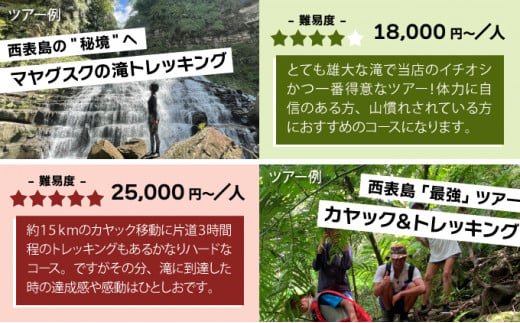 旅行券 沖縄 チケット 西表島 アクティビティ ツアーチケット 6,000円 旅行クーポン 旅行 体験 観光 クーポン 6,000円分